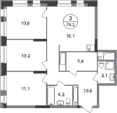 ЖК «Первый Московский», планировка 3-комнатной квартиры, 74.30 м²