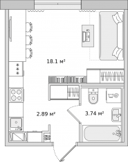 ЖК ЦДС «Новые Горизонты», планировка студии, 24.60 м²