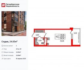 ЖК «Сенат в Московском», планировка студии, 24.83 м²