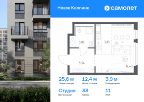 ЖК «Новое Колпино», планировка студии, 25.62 м²