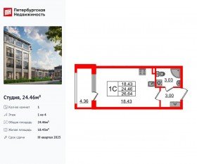 МЖК «Дворцовый фасад», планировка студии, 24.46 м²