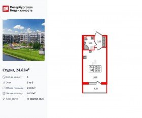 ЖК «Парадный ансамбль», планировка студии, 24.65 м²