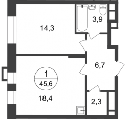 ЖК «Первый Московский», планировка 1-комнатной квартиры, 45.60 м²