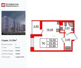 ЖК «Бионика Заповедная», планировка студии, 24.58 м²