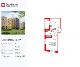 ЖК «Прайм Приморский», планировка 1-комнатной квартиры, 36.70 м²