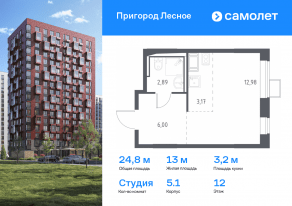 ЖК «Пригород Лесное», планировка студии, 24.80 м²