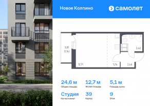 ЖК «Новое Колпино», планировка студии, 24.60 м²