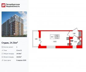 ЖК «Астра Континенталь», планировка студии, 24.36 м²