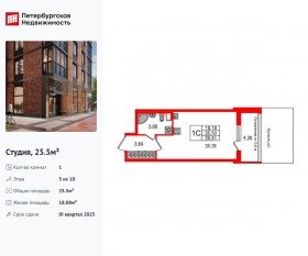 ЖК «Сенат в Московском», планировка студии, 25.50 м²