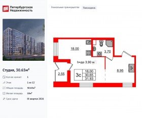 ЖК «Бионика Заповедная», планировка студии, 30.65 м²