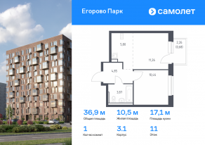 ЖК «Егорово Парк», планировка 1-комнатной квартиры, 36.92 м²